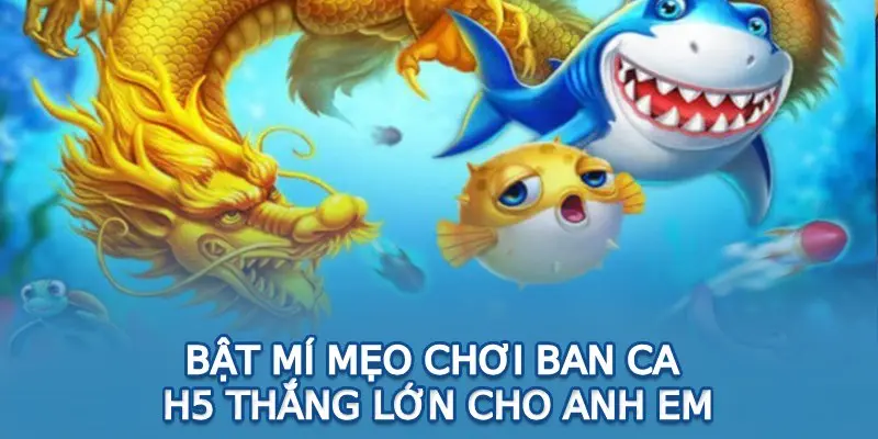 Bật mí mẹo chơi ban ca h5 thắng lớn cho anh em