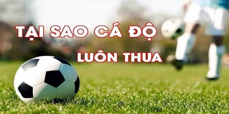 Giải mã chơi cá độ luôn thua và những điều cần biết