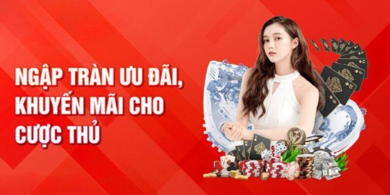 Chương trình khuyến mãi 79King nổi bật