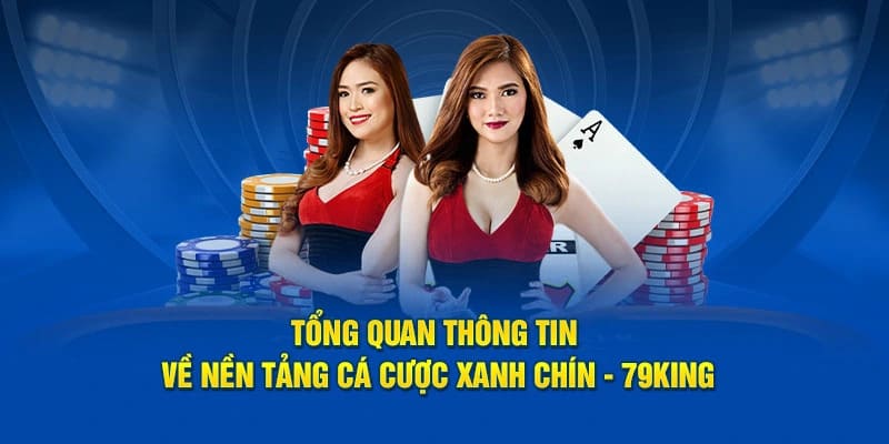 Giới thiệu về 79King trên thị trường